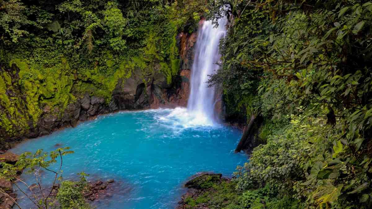 Sostenibilidad ambiental.JPG lista para uso.jpgll