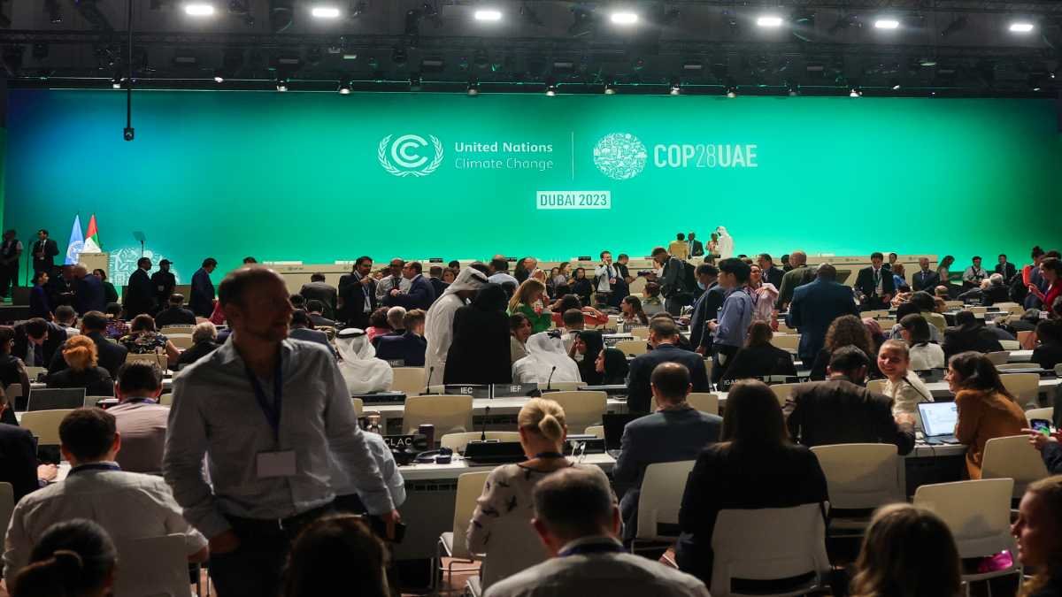 Los participantes en las sesiones plenarias de la COP28, cuando llegaban en la última jornada. Foto: Giuseppe Cacace / AFP.