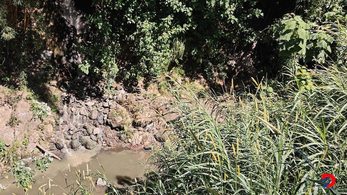 Foto del cause del río Pirro por el sector de Guararí. Por SCL