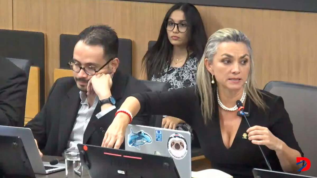 Kattia Cambronero, diputada del PLN interpeló a la presidenta ejecutiva de la CCSS, Marta Esquivel, por haber frenado el portafolio de inversión institucional sin sustento técnico alguno. Foto: Captura de imagen.