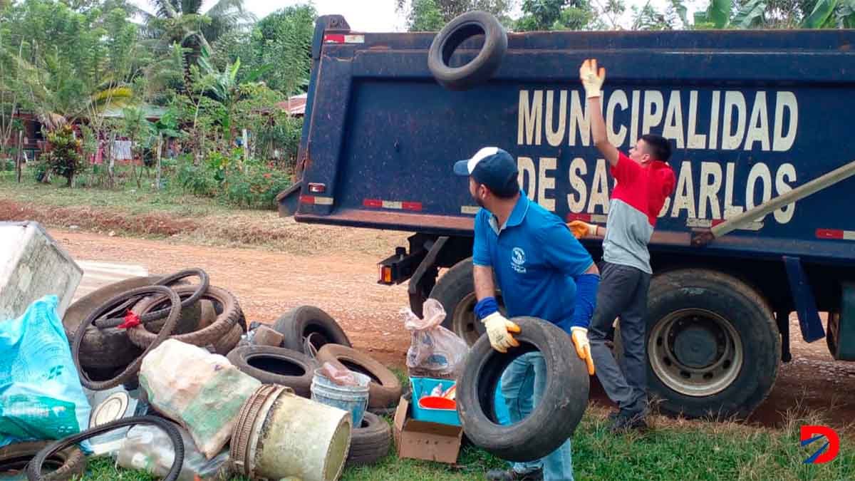 Criaderos dengue San Carlos