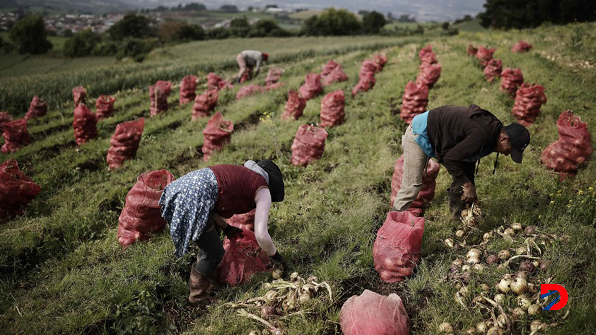 Agricultores