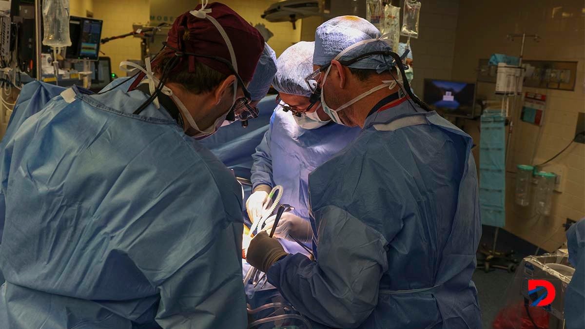 El pasado 16 de marzo un equipo de cirujanos del Massachusetts General Hospital, en Boston, realizaron el primer trasplante de un riñón genéticamente modificado de cerdo a un ser humano. Foto: Michelle Rose / Massachusetts General Hospital / AFP.