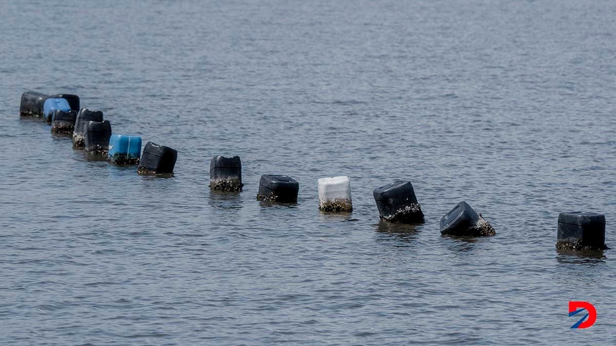 Esta imagen captada en isla Chira muestra una granja de ostras, el 23 de junio de 2022. Foto: Ezequiel Becerra / AFP.