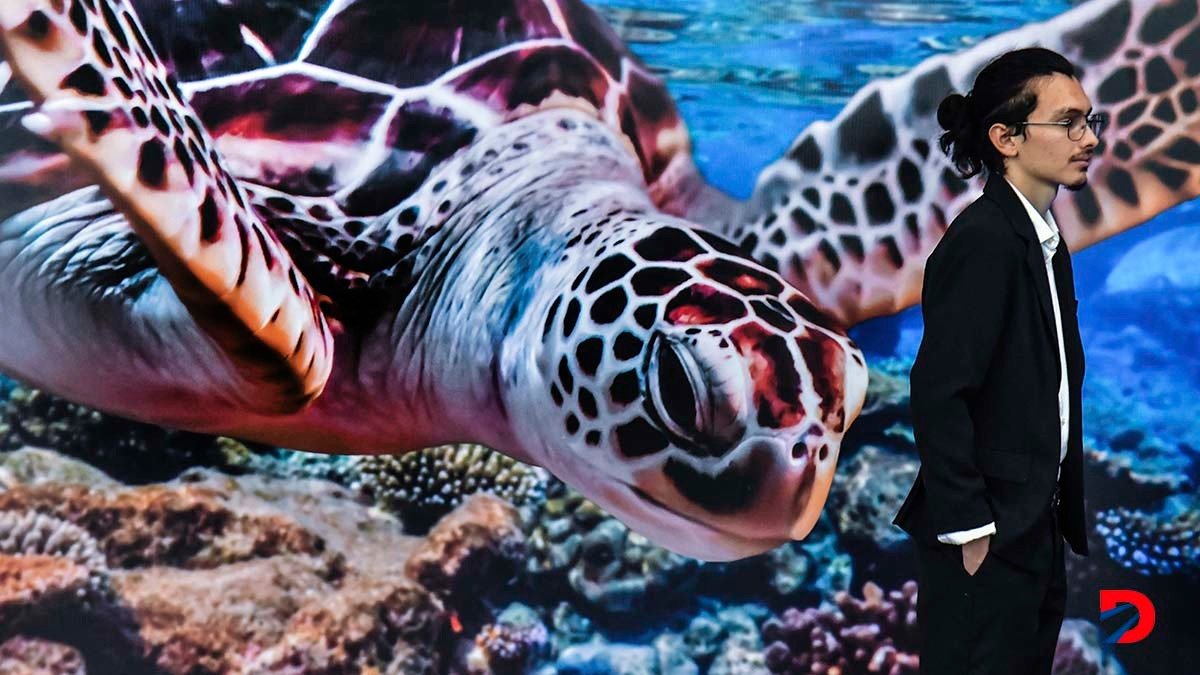 Un hombre espera frente a una imagen de una tortuga en el océano, durante la apertura del foro “Immerced in change”, en San José. Foto: Ezequiel Becerra / AFP.