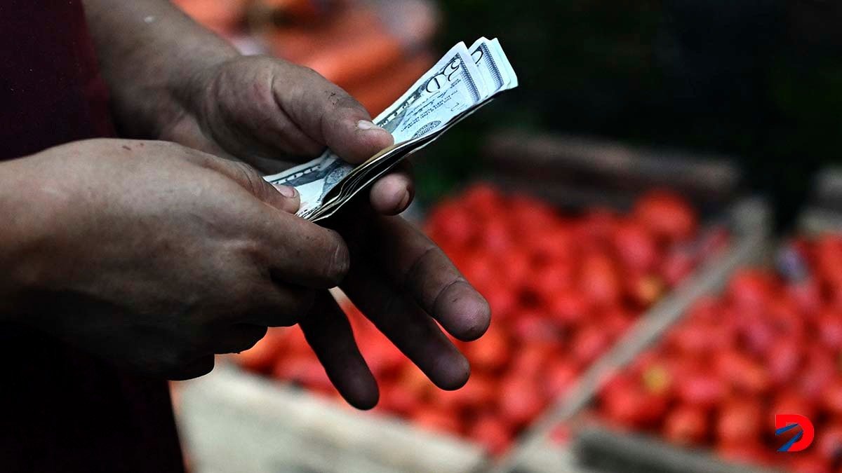 Un vendedor de verduras cuenta el dinero obtenido en uno de los mercados móviles promovidos por el Gobierno de Nayib Bukele en El Salvador. Foto: Marvin Recinos / AFP.