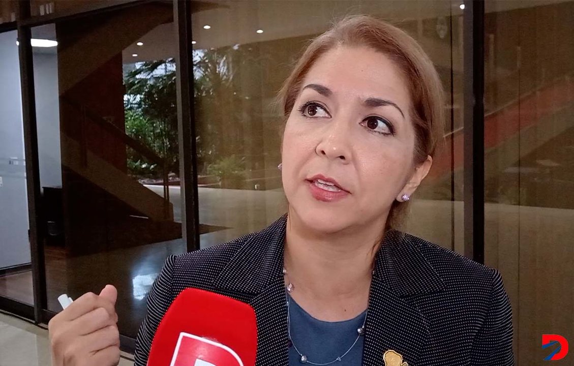 La ministra de Salud, Mary Munive recalcó que el dengue es una enfermedad prevenible.