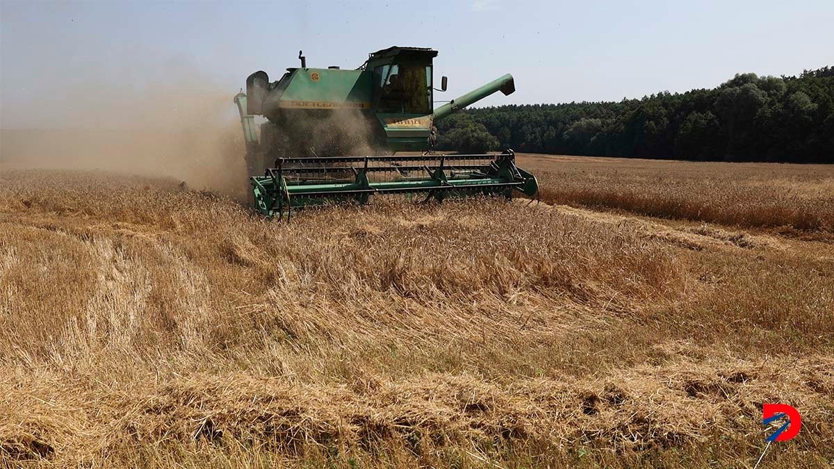 La guerra en Ucrania no ha impedido que la agricultura siga adelante. Foto: Anatolii Stepanov / AFP.