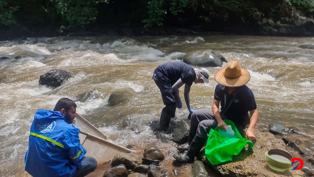 Funcionarios de Acueductos y Alcantarillados se mantiene en analísis constantes, donde ampliaron el circuto de monitoreo para conocer la situación en el río Barranca. Foto A y A