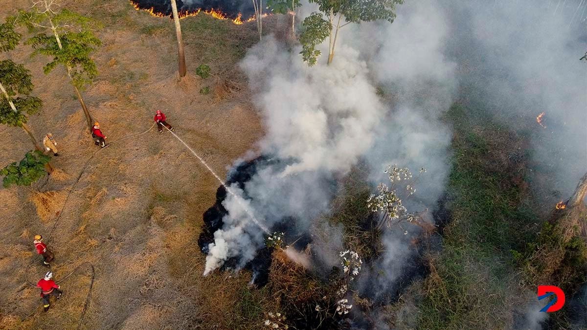 La situación en el Amazonas sigue siendo preocupante por los niveles de deforestación. Además, un incendio en setiembre del año anterior destruyó gran parte del bosque. Foto: Michael Dantas / AFP.